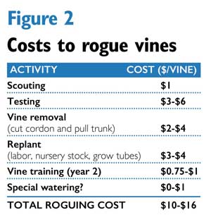 Figure 2: Costs to rogue vines. (Source: Trent Ball/Yakima Valley College. Graphic: Jared Johnson/Good Fruit Grower)
