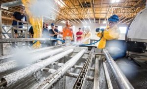 Julian Vasquez sprays chlorine foam as one of the steps operation crews employ to sanitize a cherry processing dump tank during a 2016 workshop offered by the Washington State Tree Fruit Association. (TJ Mullinax/Good Fruit Grower)