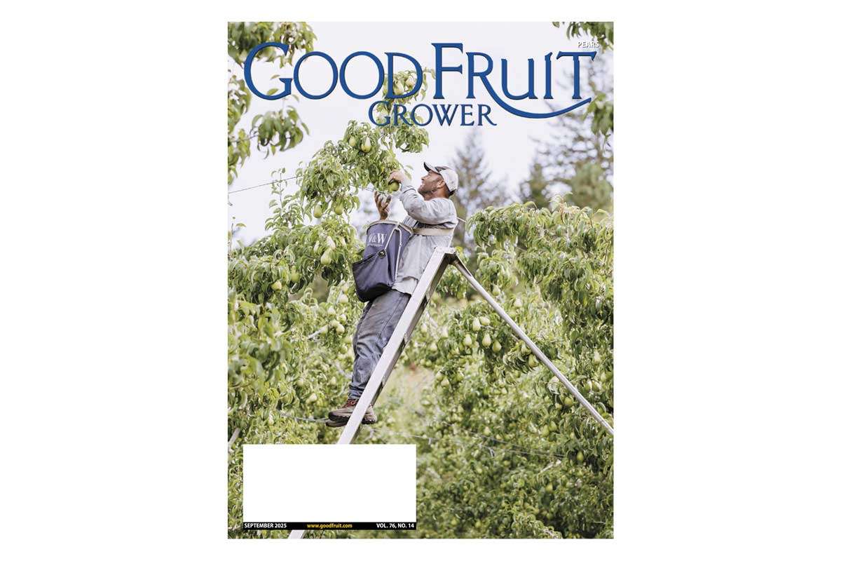 sep-2025-cover-feat