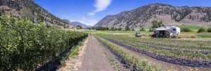 Similkameen Nurseries in British Columbia