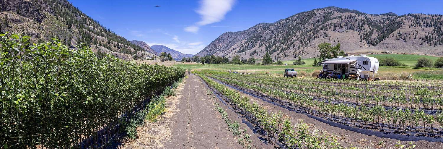 Similkameen Nurseries in British Columbia