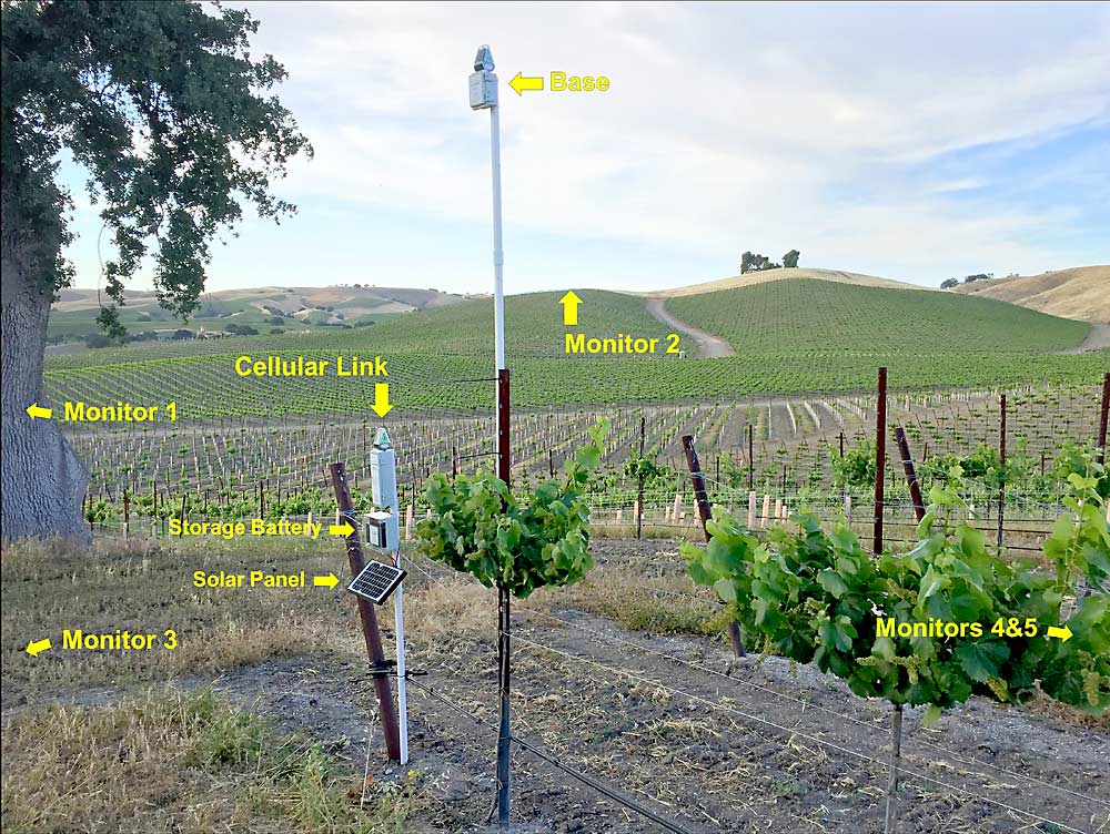 Advances in telemetry mean more sensor data can be transmitted across large vineyards with less equipment. This photo shows an installation in Paso Robles, California. (Courtesy Alan Campbell)