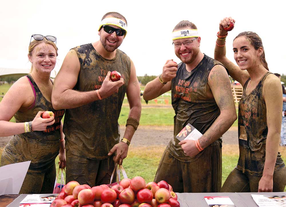 Sponsoring Tough Mudder races has been a success for marketing SnapDragon apples, said Rena Montedoro, vice president of sales and marketing for Crunch Time Apple Growers. Racers get to try apples at the finish line and it gets SnapDragon into the social media feed of the race series’ millions of followers. (Courtesy Crunch Time Apple Growers)
