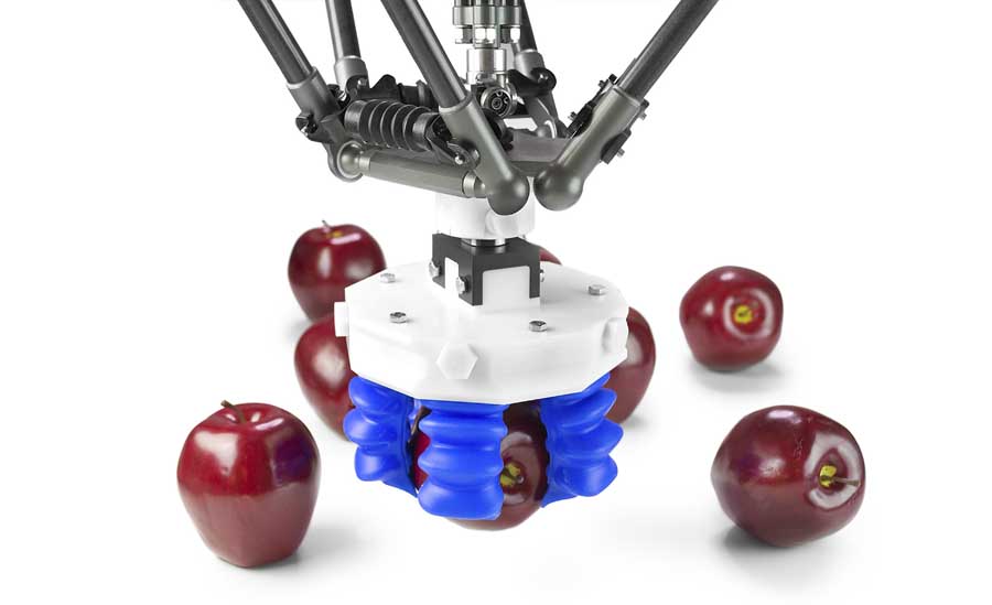Soft Robotics demonstrates its air-actuated gripper in the robotics company's Cambridge, Massachusetts, laboratory. The company planned a trial with Washington State University on ripe fruit in the orchards this fall. <b>(Courtesy Soft Robotics)</b>