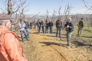 Omeg talks with other growers about his "mow and blow" mulching results during an Oregon State University soils workshop in March 2017. (TJ Mullinax/Good Fruit Grower)