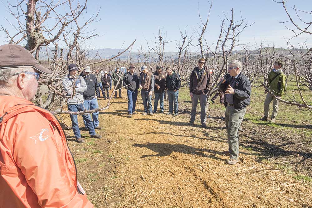 Omeg talks with other growers about his "mow and blow" mulching results during an Oregon State University soils workshop in March 2017.<b> (TJ Mullinax/Good Fruit Grower)</b>