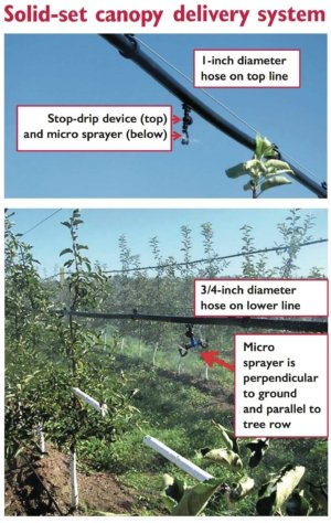 Michigan State University’s Clarksville Research Center is testing a solid-set canopy delivery system designed to apply pesticides more precisely than conventional sprayers.(Courtesy Michigan State University)