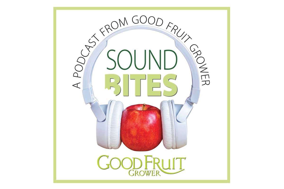 soundBitesLogo-feat