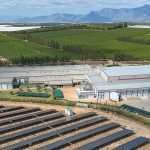 Fruit production in sunny South Africa 2024 International Fruit Tree Association (IFTA) South Africa study tour