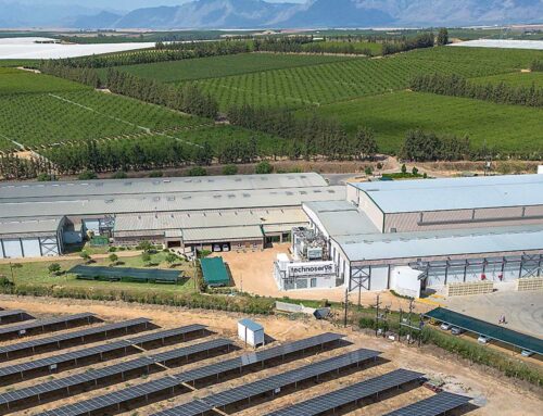 Fruit production in sunny South Africa