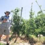 2024 International Fruit Tree Association (IFTA) South Africa study tour