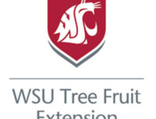 Washington State University’s tree fruit research field day Aug. 6