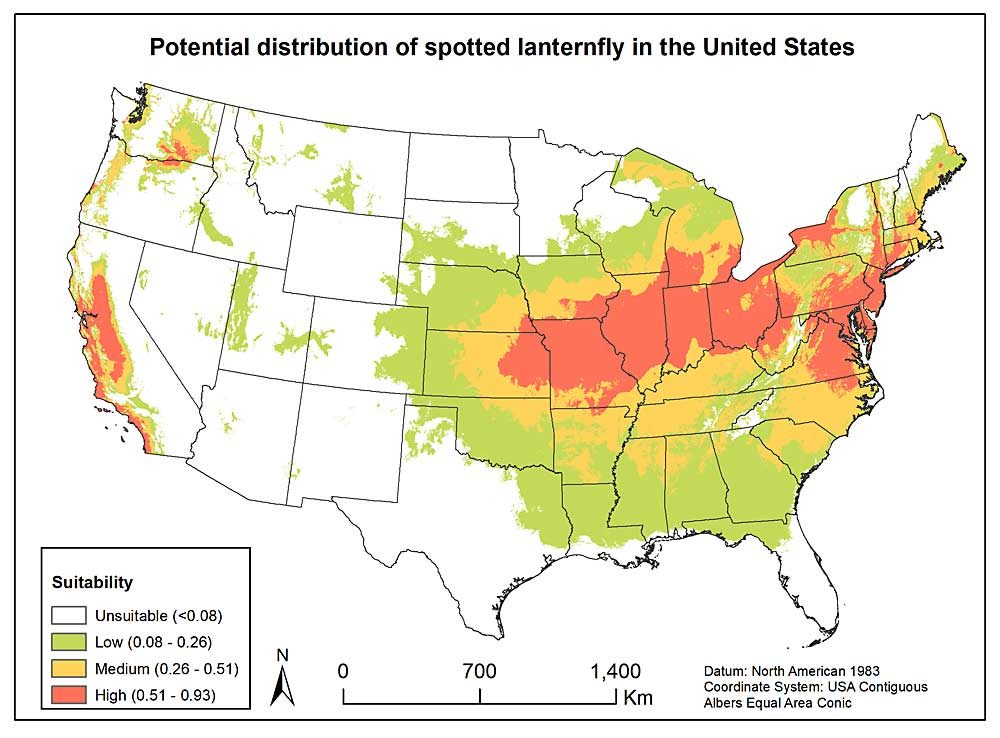 Spotted lanternfly map shows high risk for West Coast wine regions