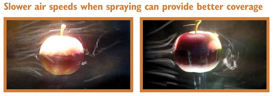 These two images show how a property of fluid dynamics, known as the boundary layer effect, can impact spraying an apple. At higher air speeds, as shown in the top photo, most spray droplets go straight past the apple. But lower air speeds, which have a lower boundary layer, allow spray droplets to go around and land on the back of the fruit. <b>(Courtesy Andrew Landers)</b>