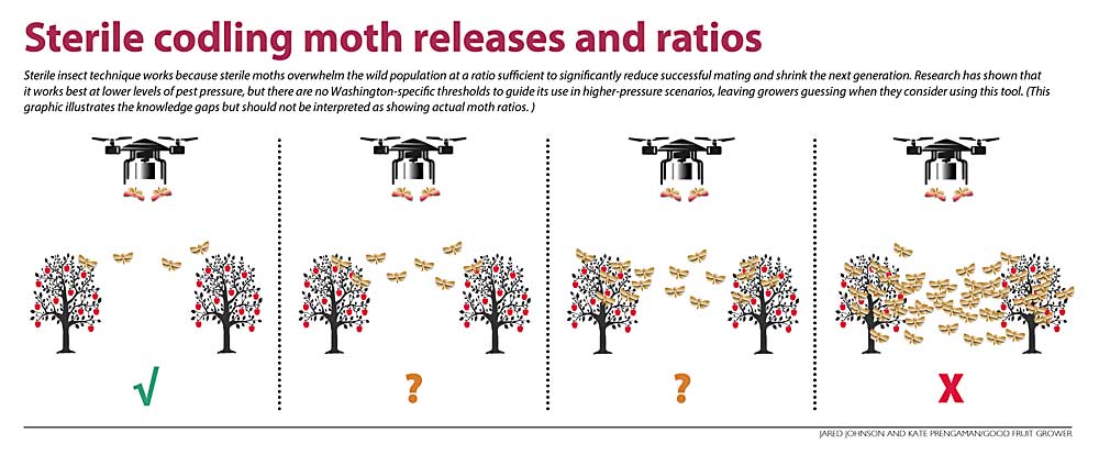 This graphic illustrates the knowledge gaps regarding sufficient ratios of sterile versus wild codling moths in Washington orchards. (Jared Johnson and Kate Prengaman/Good Fruit Grower)