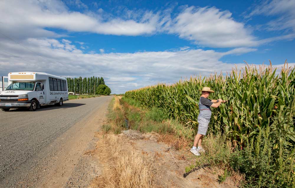 Investor Tim Cox spied some corn growing on one of New Royal Bluff’s properties and asked the bus driver to stop so he could take a picture, excitedly saying that owning a cornfield was on his bucket list. (TJ Mullinax/Good Fruit Grower)