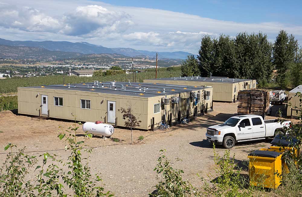Backpackers may camp in tents, but foreign guest workers contracted through the federal government’s Seasonal Agricultural Worker Program, or SAWP, must have structural residences. Hillcrest Farms of Kelowna, British Columbia, repurposed trailers from oil fields as housing for SAWP workers. Adding even more complexity, in British Columbia, even SAWP units must be mobile due to agricultural land-use laws, so most growers use mobile homes or trailers. (TJ Mullinax/Good Fruit Grower)