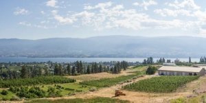 The Summerland Research and Development Centre, overlooking Okanagan Lake in Summerland, British Columbia, is the home of some of Canada’s best known fruit varieties. (TJ Mullinax/Good Fruit Grower)