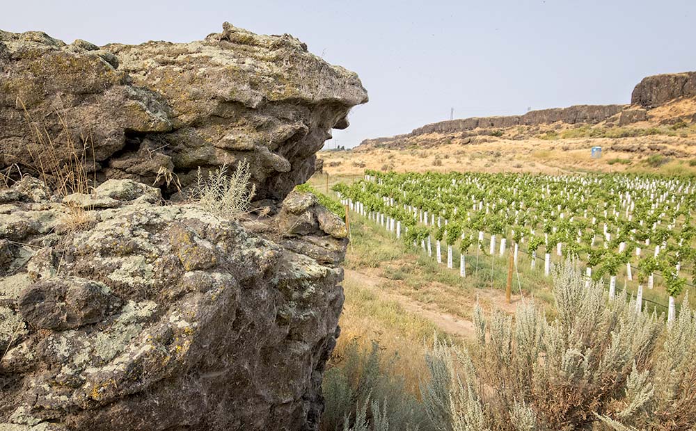 The site along the Yakima River features several volcanic rock formations covered in lichen, native grasses and sagebrush. <b>(TJ Mullinax/Good Fruit Grower)</b>