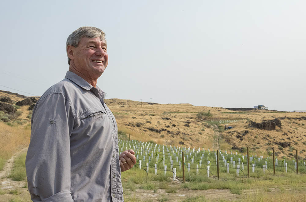 Larry Pearson looks out over a couple of the 10 different vineyard blocks of Cabernet Sauvignon and Aglianico growing in a rocky basalt terrain within the Yakima Valley appellation.<b> (TJ Mullinax/Good Fruit Grower)</b>