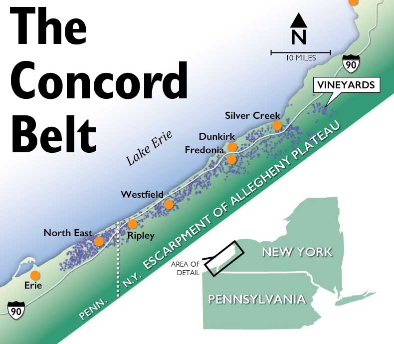 Repeated late freezes in the spring of 2012 cost the Concord Belt growers millions of dollars. But extremely low temperatures during the last two winters have done longer-term damage, killing vines outright. Source: Lake Erie Concord Grape Belt Association <b>(Jared Johnson/Good Fruit Grower illustration)</b>