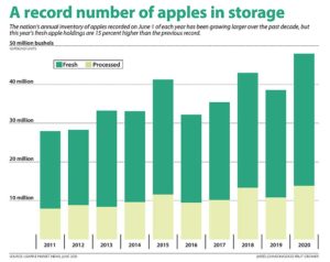 The nation’s annual inventory of apples recorded on June 1 of each year has been growing larger over the past decade, but this year’s fresh apple holdings are 15 percent higher than the previous record. (Source: USApple Market News, June 2020 Graphic: Jared Johnson/Good Fruit Grower)