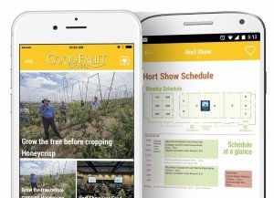 iPhone Android apps