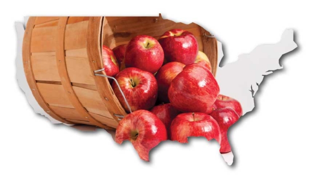 USA apples