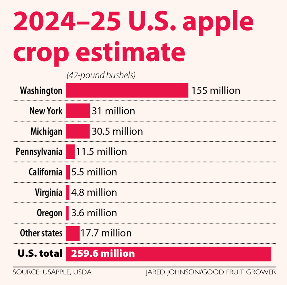 2024–25 U.S. apple crop estimate (Source: USApple and USDA; Graphic: Jared Johnson/Good Fruit Grower)