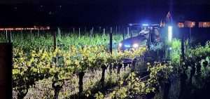 David Markel of Willamette Valley Vineyards pulls a prototype of a new UVC light applicator through his test vineyard in Dundee, Oregon...