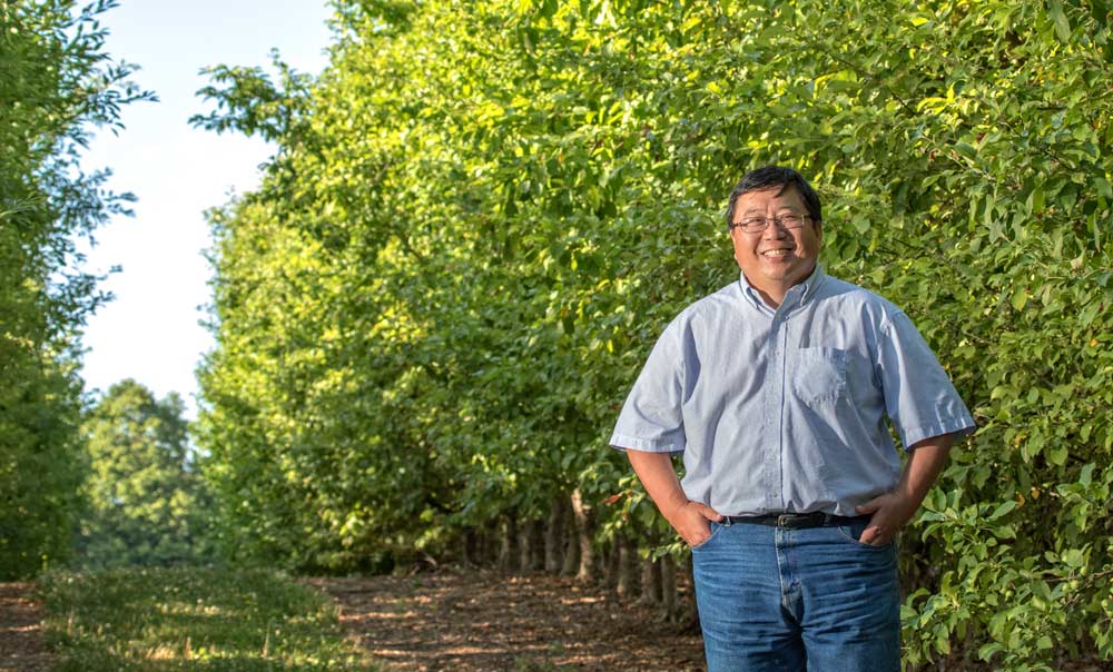 Thomas Chao, horticulturist and curator of the U.S. Department of Agriculture germplasm repository in Geneva, New York, stands among Malus Sieversii trees curated by researchers in 1995 in Kazakhstan. Chao oversees the care of thousands of pome varieties housed at the living museum. Malus Sieversii is believed to be the ancestor of commercial apples and continues to be a source of research for disease resistance and other desirable traits. <b>(TJ Mullinax/Good Fruit Grower)</b>