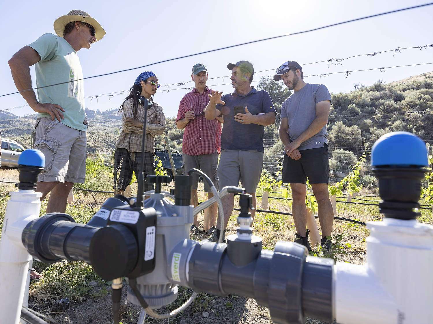 A field day featuring Verdi Irrigation systems in a British Columbia vineyard