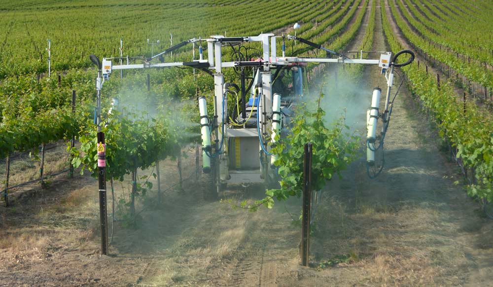 The OnTarget sprayer creates an electrostatic charge that can help spray particles stick to their destination and improve coverage, but the effect is only felt within a few centimeters of clusters, it is not able pull product from above the canopy back into the fruiting zone, said WSU's Gwen Hoheisel. (Courtesy Margaret McCoy/Washington State University)