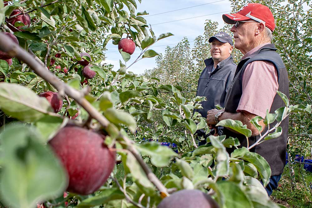 Tom Auvil, right, talks during a Washington State University WA 38 field day in September 2015, near Quincy, Washington. (Shannon Dininny/Good Fruit Grower)