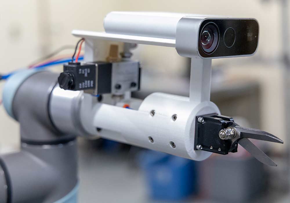 A robotic pruning arm being developed at Washington State University’s Center for Precision and Automated Agricultural Systems in Prosser, Washington, uses off-the-shelf components for the arm and a vision system that allows it to differentiate parts of the canopy and make pruning decisions. (Matt Milkovich/Good Fruit Grower)