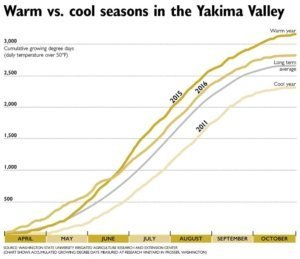 The difference between warm (2015) and cool (2011) years has big impacts on vineyard management, from timing of bloom and harvest to making efficient use of your workforce and controlling pests. (Chart shows accumulated growing degree days measured at research vineyard in Prosser, Washington) Source: Washington State University Irrigated Agriculture Research and Extension Center
