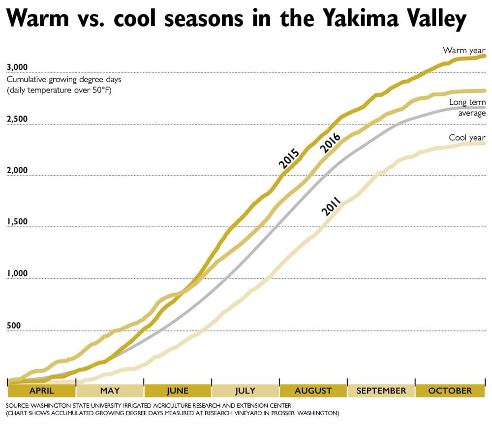 The difference between warm (2015) and cool (2011) years has big impacts on vineyard management, from timing of bloom and harvest to making efficient use of your workforce and controlling pests. (Chart shows accumulated growing degree days measured at research vineyard in Prosser, Washington) Source: Washington State University Irrigated Agriculture Research and Extension Center 