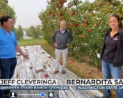 In a session featured during the virtual IFTA 2021 Annual Conference, Jeff Cleveringa, left, and Bernardita Sallato, right, talk Honeycrisp with grower Bruce Allen at Chiawana Orchards in Yakima, Washington.