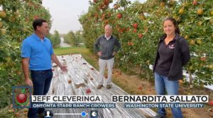 In a session featured during the virtual IFTA 2021 Annual Conference, Jeff Cleveringa, left, and Bernardita Sallato, right, talk Honeycrisp with grower Bruce Allen at Chiawana Orchards in Yakima, Washington.