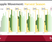 There’s an overlap of the prior year’s apples every harvest season, but this fall, the volume of 2023 apples was larger than usual, said Chris Gerlach, vice president of insights and analytics for the U.S. Apple Association, in a webinar on Dec. 19. That will set up a similar “long tail” for the 2024–25 season as well. (Courtesy U.S. Apple Association)