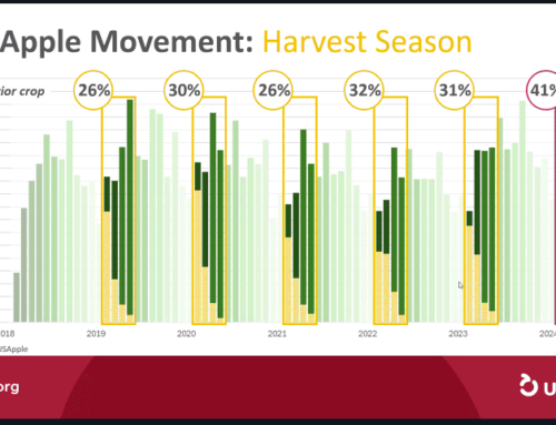 “Long tail” of large apple crops highlighted in USApple’s harvest wrap-up webinar