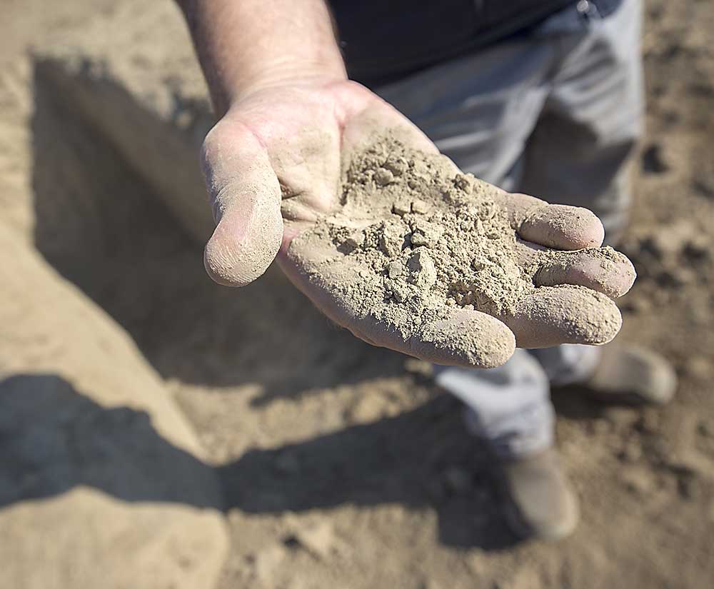 Stu Turner shows what he calls a typical example of the soil makeup at Weidert Farm near Touchet, Washington in September 2017. Turner, an agronomist, says there's very few rocks on the property, and in this particular 6-foot dig in the background, didn't have a stone to be found. <b>(TJ Mullinax/Good Fruit Grower)</b>