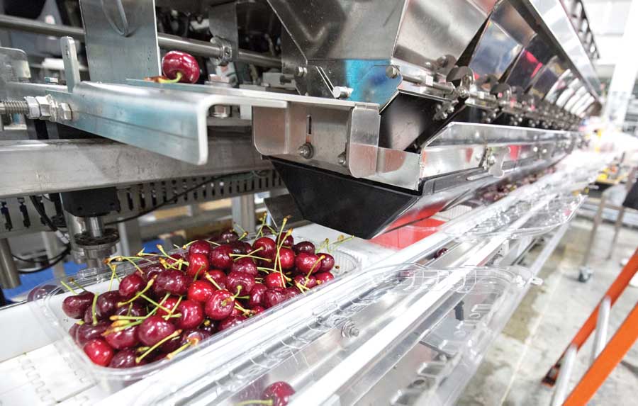 Blue Bird's new facility can accommodate several styles of commercial packaging for cherries, like clamshells and pouches at their Wenatchee, Washington location on June 13, 2016. <b>(TJ Mullinax/Good Fruit Grower)</b>