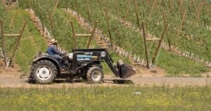 A worker moves a tractor across several blocks in the spring of 2015 in Naches, Washington. (TJ Mullinax/Good Fruit Grower file photo)
