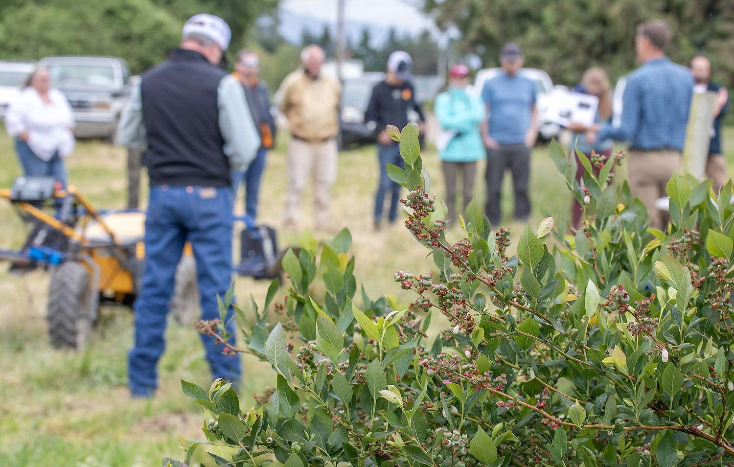 Growers learn about emerging pollination technology during the “Bees, Bots and Blueberries” field day...