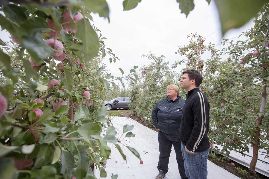 Karen Lewis, WSU tree fruit regional extension specialist, gives Rob Blakey, the extension’s most recent hire, a tour of several orchards around Pasco, Washington, in mid-October. <b>TJ Mullinax/Good Fruit Grower </b>