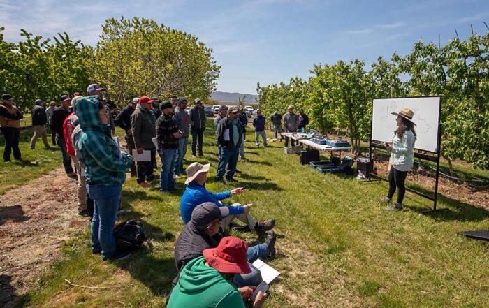 Oregon State University’s Maria Zamora Re, right, speaks about irrigation techniques during Washington State University’s Spanish-language field day dedicated to irrigation basics and management in tree fruit at the Roza research orchard in Prosser on May 8. The field day, “Día de campo: Importancia y manejo del riego en frutales,” covered topics including the relationships between soil, water and nutrition, plant sensors, irrigation planning and irrigation automation. (TJ Mullinax/Good Fruit Grower)