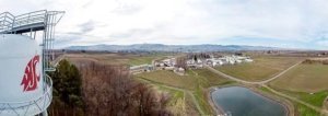 Research orchard and laboratory facilities at the Washington State University, Irrigated Agriculture Research and Extension Center (IAREC) on March 28, 2019 in Prosser, Washington. Several research groups use the station, that was first funded in 1919, such as WSU, Washington State Department of Agriculture (WSDA) and United States Department of Agriculture Agricultural Research Service (USDA-ARS). (TJ Mullinax/Good Fruit Grower)