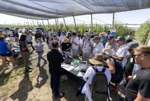 Polish fruit growers were among the 125 people who checked out precision irrigation and heat management tools and ideas on July 25 at the Washington State University Smart Orchard field day near Mattawa. Organizers will host another field day at a different Smart Orchard location on Aug. 1 near Zillah. (TJ Mullinax/Good Fruit Grower)