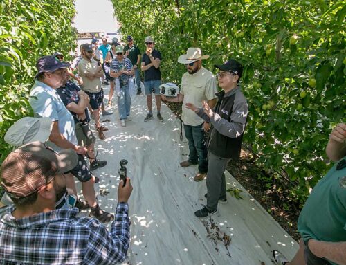 Dutch grower group tours Washington orchards to talk technology